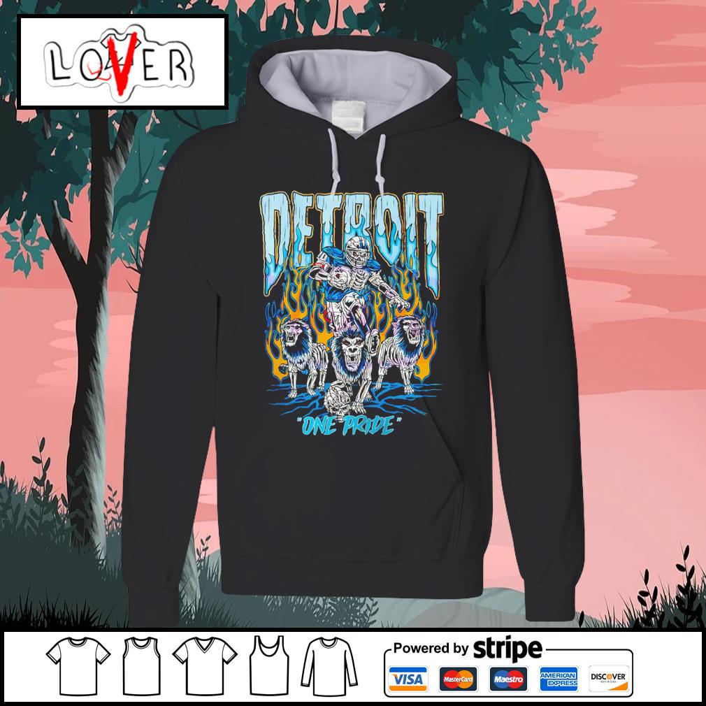 Official detroit Lions one pride vintage NFL team shirt, hoodie, sweater,  long sleeve and tank top